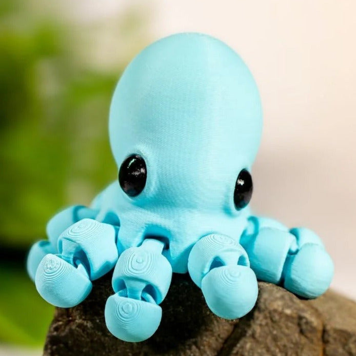 Baby Octopus