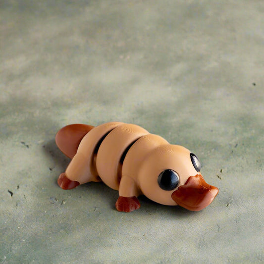 Baby Platypus