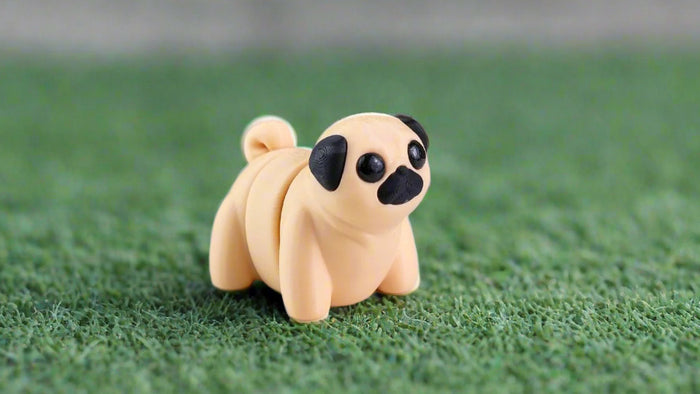 Baby Pug