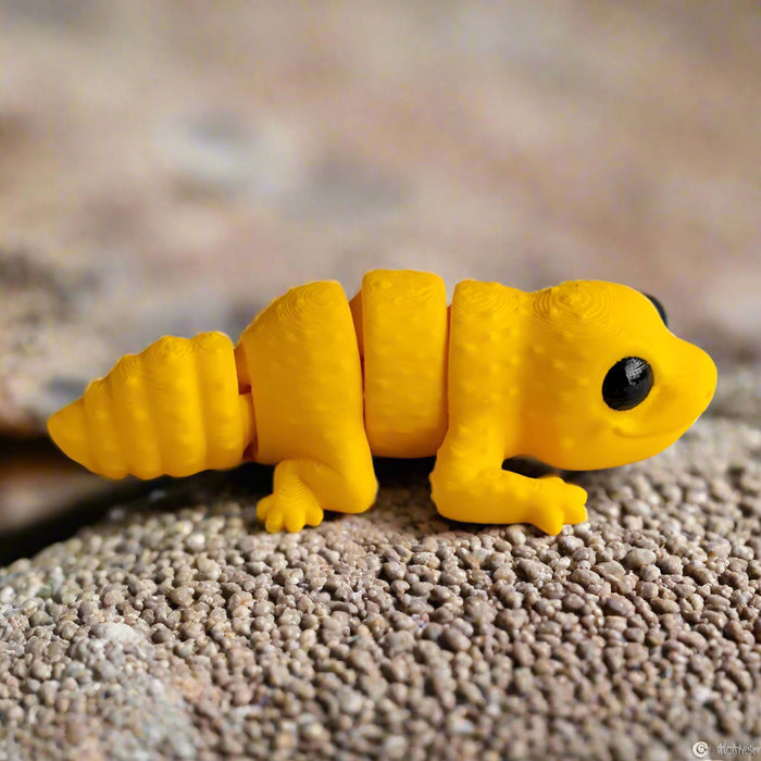 Baby Leopard Gecko