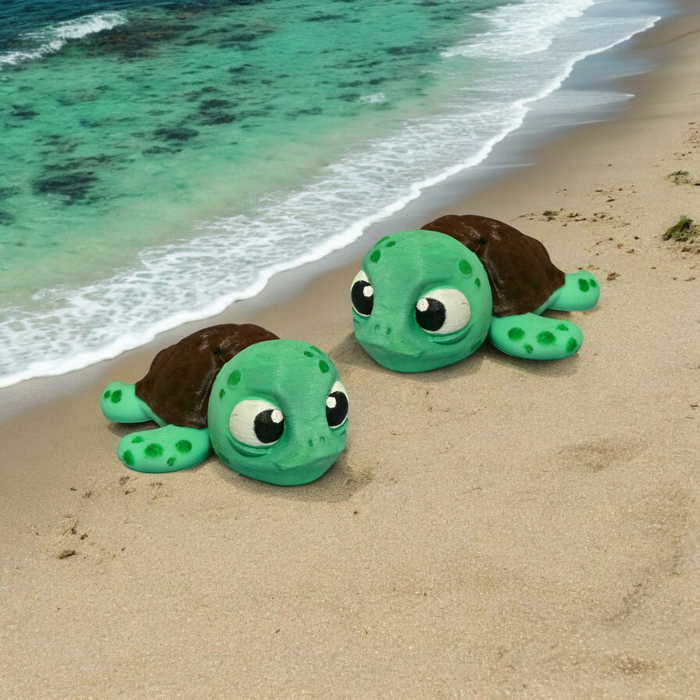 Sea Turtle