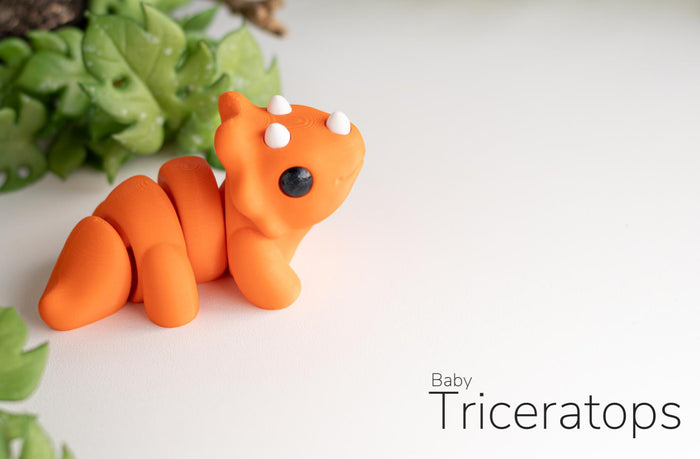 Triceratops